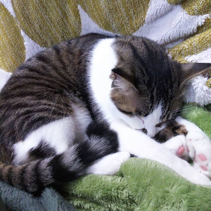 9f3bb7f2 398e 4a68 9e7a 1255743936de 1647580475511