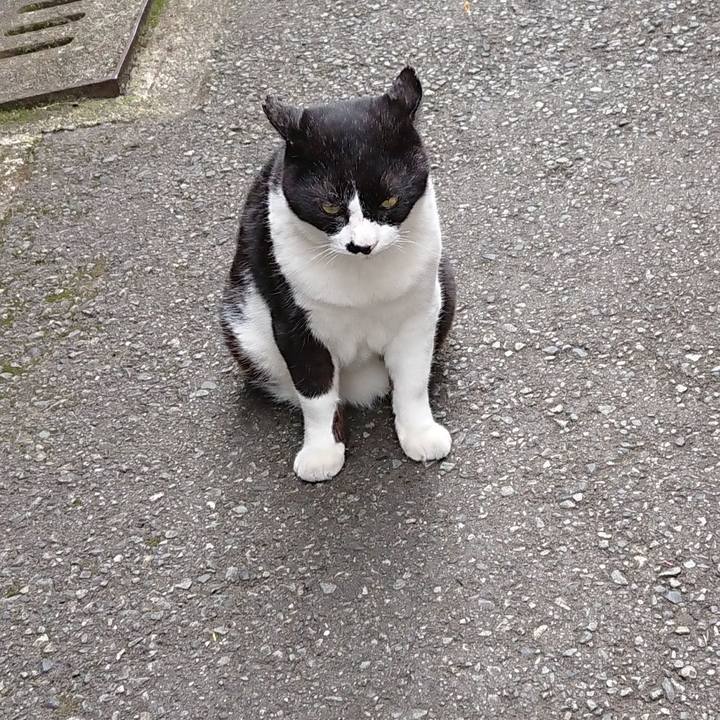 9f3bc450 6471 47f1 a39b ed560b62e2c4 1622265497402