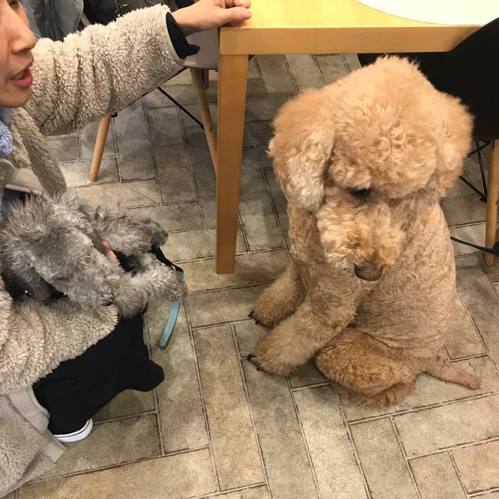 9f3bcec8 e447 48c6 acd3 52ffee596083 1574578177361