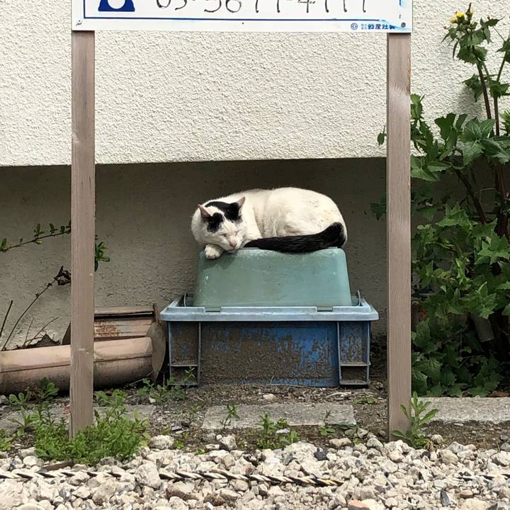 9f3bde1a c447 44b6 837e 1b284fefbc63 1589716682597