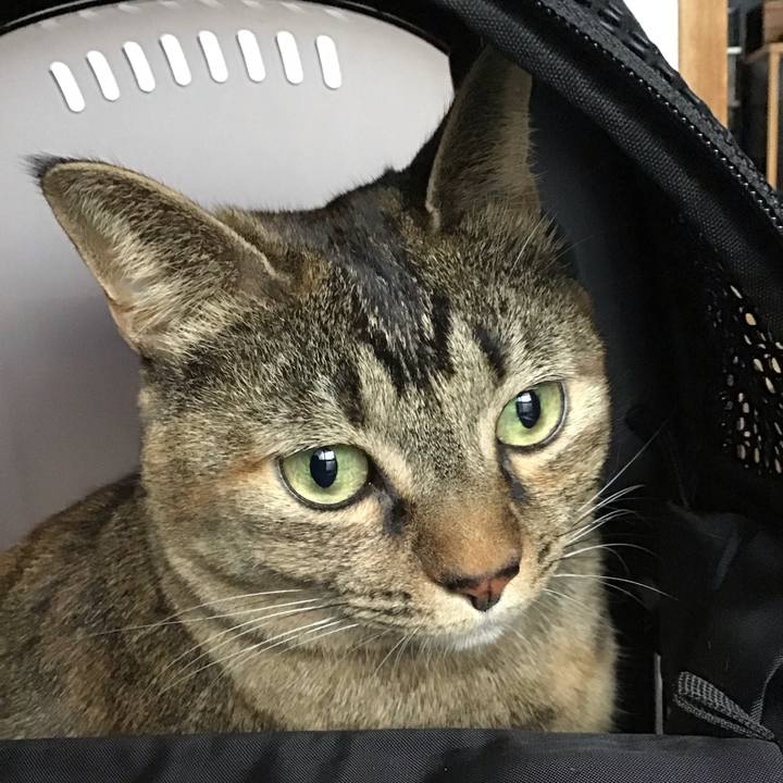 9f3bfe68 9d6a 4e03 9c29 07ec59481f57 1702965798154