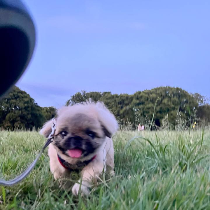 9f3c3285 2ab8 4c66 aac1 41cb0afad84c 1758187585588