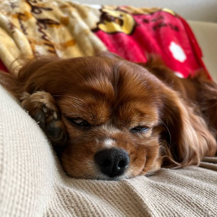 9f3c63bd c600 4b87 a929 573b37e89021 1667120542373