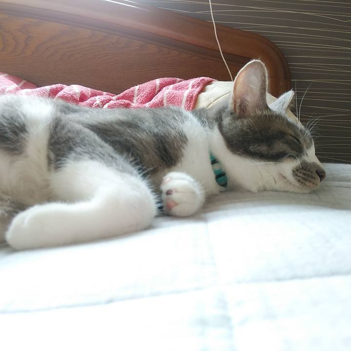 9f3c835d 87e3 4af8 a08e 95d39bcdf714 1590192189368