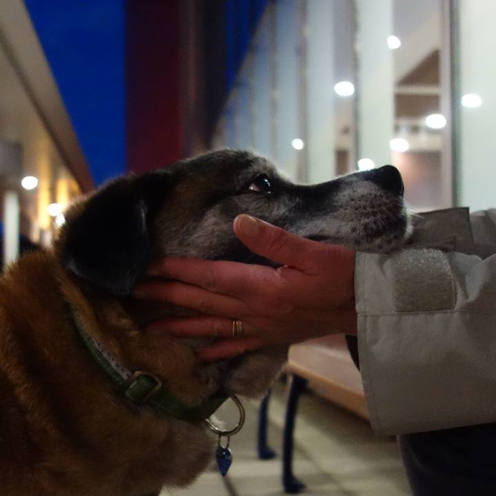 9f3c8c81 bdd9 455d ac3a 68daedc20aa4 1667093190735