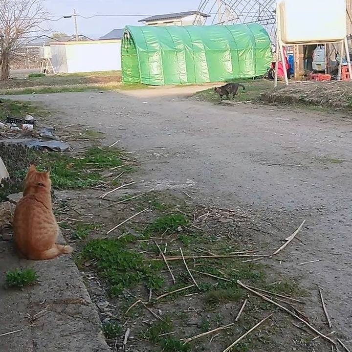 9f3cba64 1e56 4cf1 8bec 2f70e72827fd 1649842153330