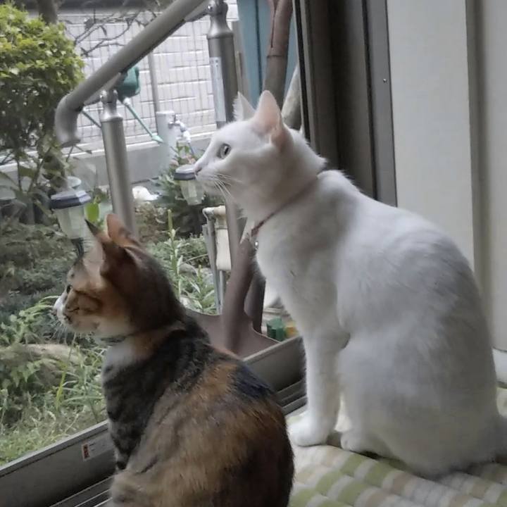 9f3ce8f0 50f1 4bcf 9fe1 96da0df4ab93 1629670779976