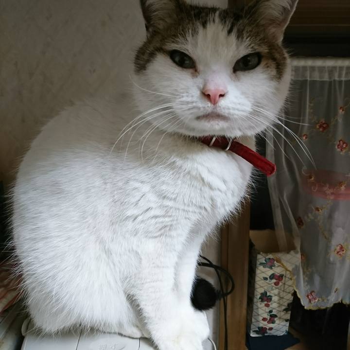 9f3cece7 da24 470e 9d69 a6014e04935b 1519736869509