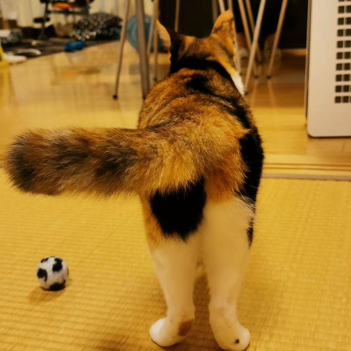 9f3d21c6 85c6 4e12 8aea 7ebbb147e75e 1631606128952