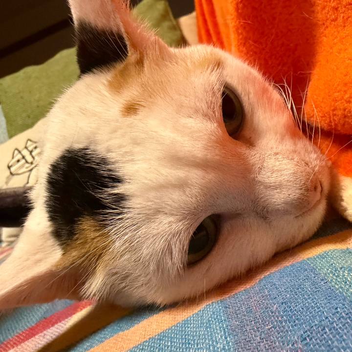 9f3d457f 4ac3 42d7 8ef3 6cdbedb8b2d0 1767876310351