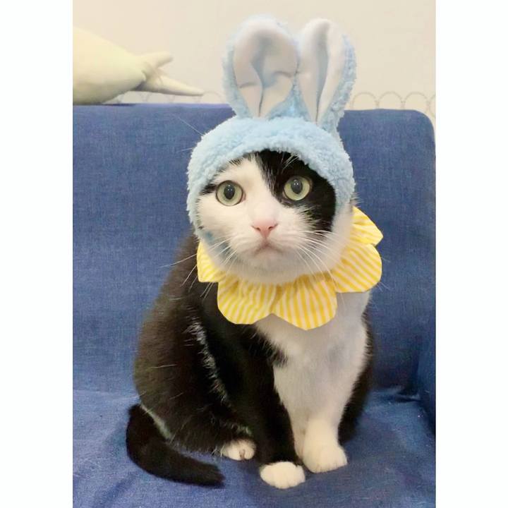 9f3d55d9 07a9 4837 8741 83a79b783c13 1617537331920