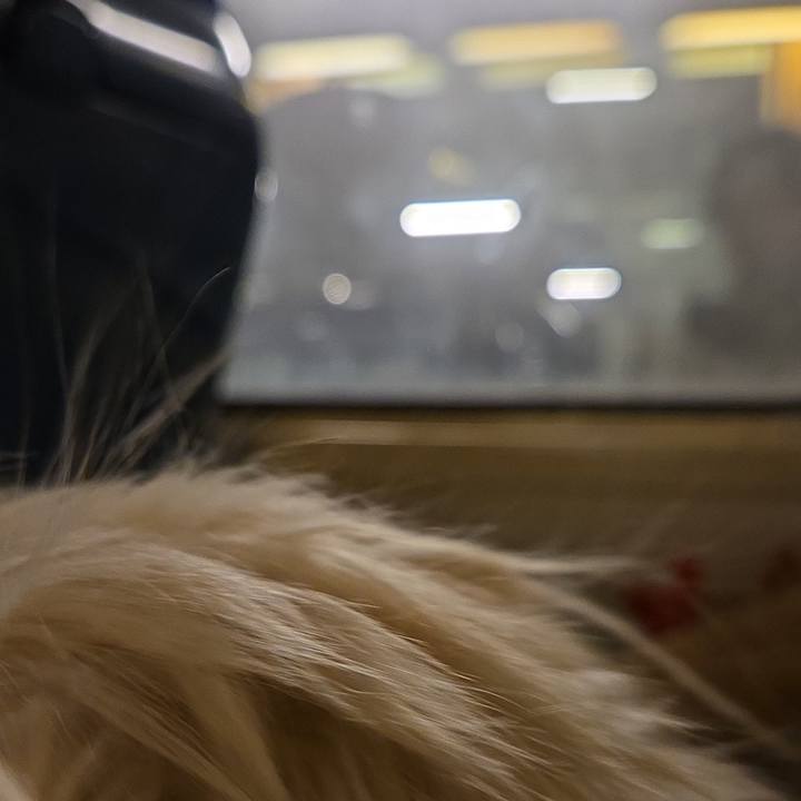 9f3d713d 6850 4eed b628 c75451fc4de1 1767208605169