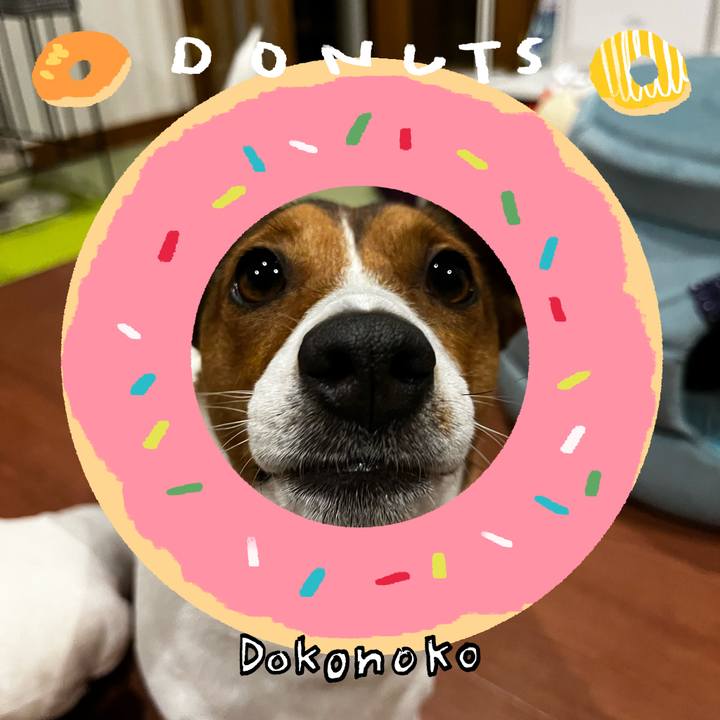 9f3da65a 1a4b 47ea 8428 832c683745aa 1744374837464