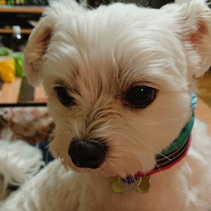 9f3dc1c4 4895 4d5e 844b f6c54ab06ace 1547207989044