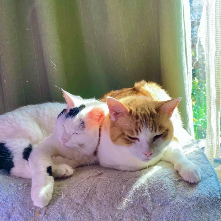 9f3dc546 8d0c 440c 86e4 0383356d865e 1681699209877