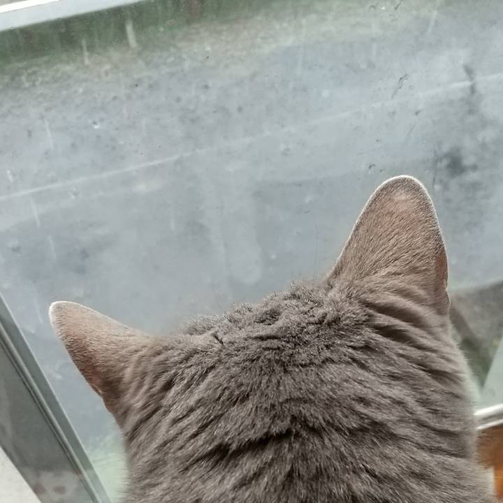 9f3ddab3 08c3 4554 b8c8 0e627766b2ec 1654920928310