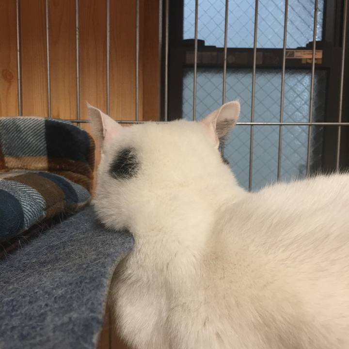 9f3e0815 56fa 462b a461 5a0d9c5d5326 1515237440429