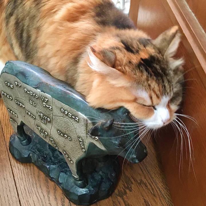 9f3e5e3e 4056 4491 a081 46b8276ba3dd 1572505877346