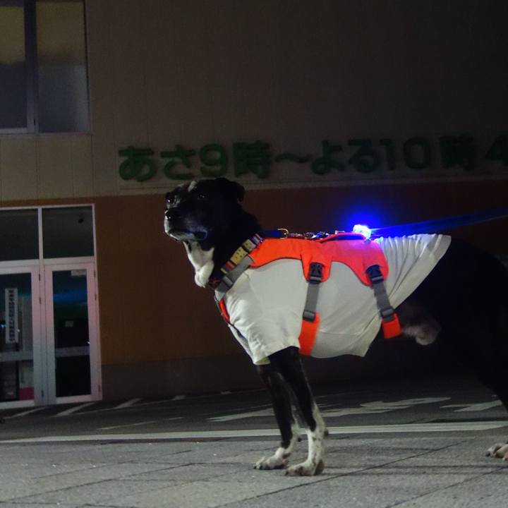 9f3e6be6 464d 46eb 8def 98fafd6c6db4 1704107086647