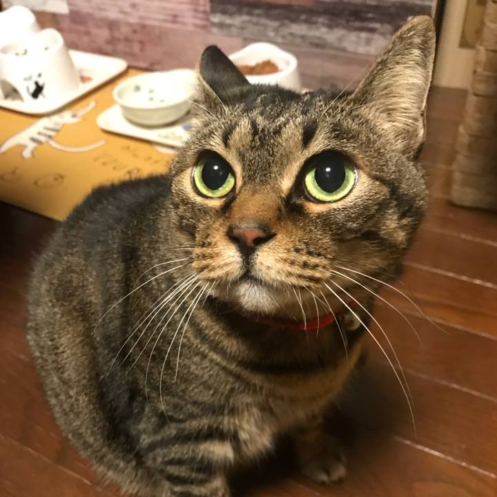 9f3e6e9c 1ca6 4f0b 8328 801524f63769 1646744454072