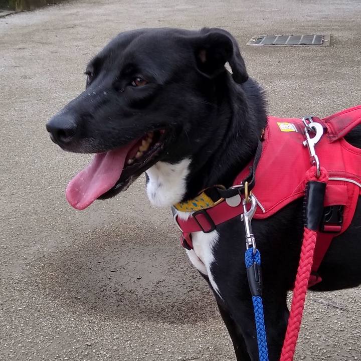 9f3e8712 9d08 4288 977b a9911c3c4459 1595810801406