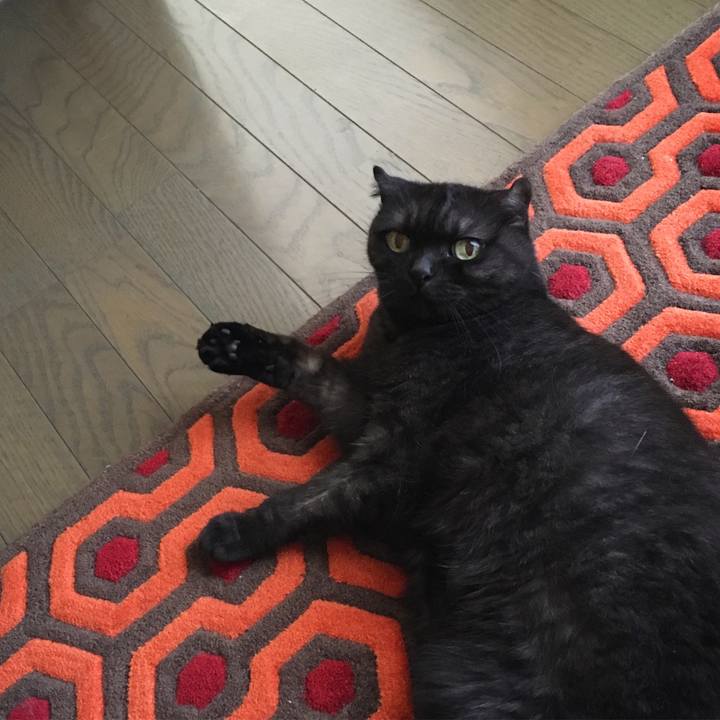 9f3ec6fd dadb 4891 ac4b 2978ce1ccebf 1536462250854