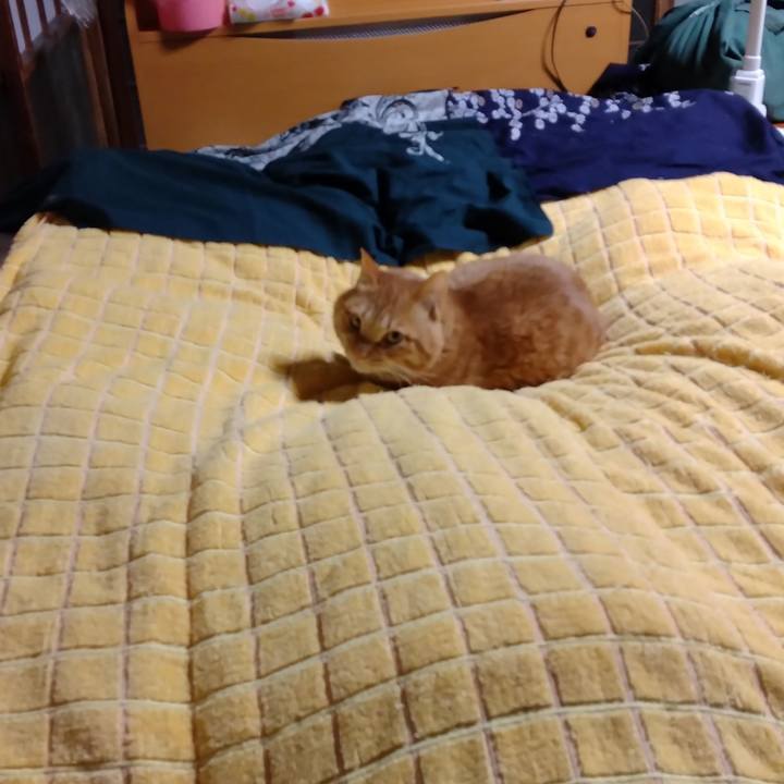 9f3eecc1 2bb4 4b67 ac5e 2871a11d8d1f 1671531194153