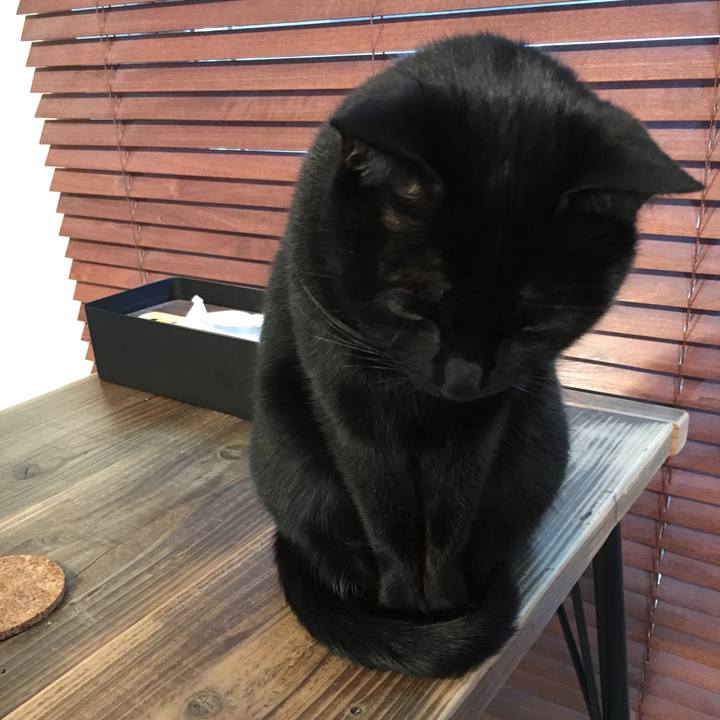 9f3f32b6 4d3c 42c0 87e4 9c5d6c0405db 1514332919930