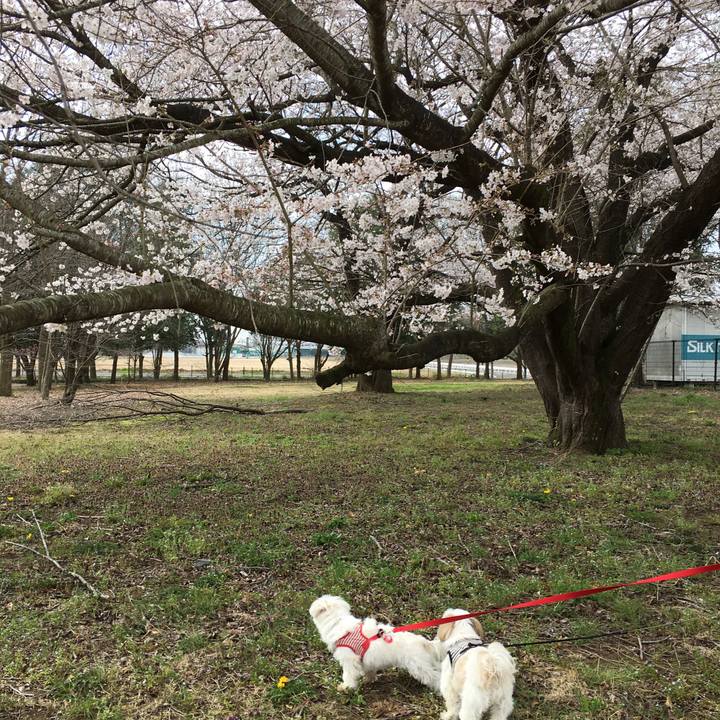 9f3f34ac 05cd 487e b614 7c653728f2ae 1585368340395