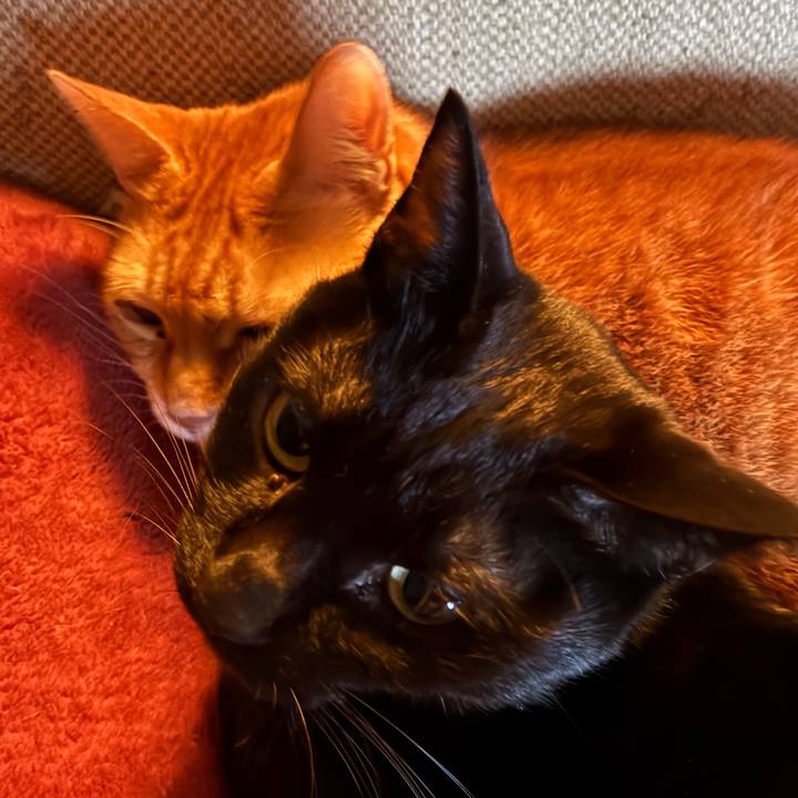 9f3f6245 fd13 49e8 b2fa f805bf8c6e03 1761084452657