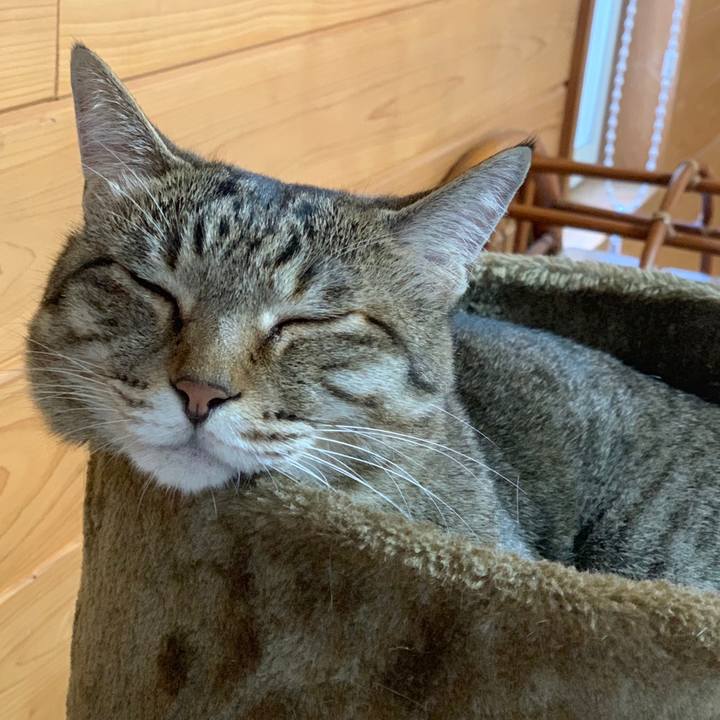 9f3f7eaf 70a4 4ad5 9f46 547202867a12 1559779540157