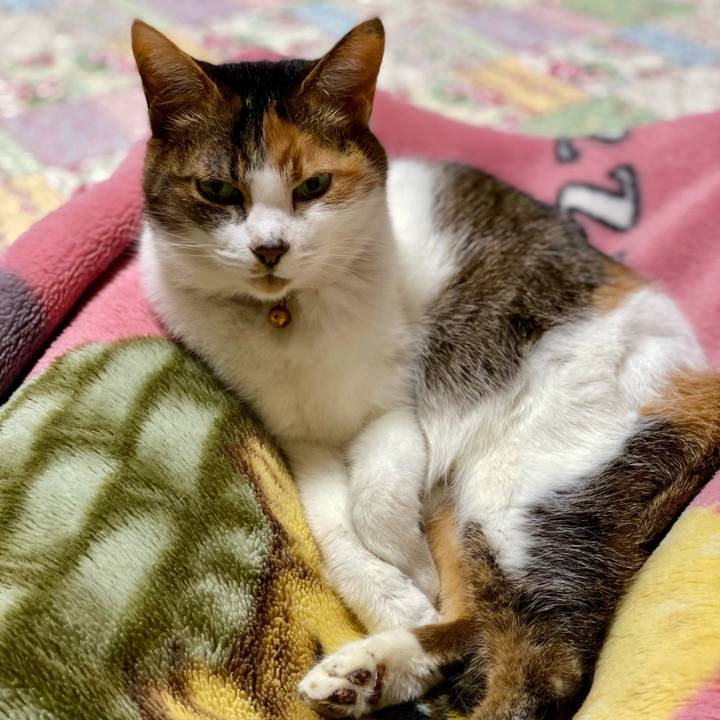 9f3fa810 45c5 452b bd74 5d6aacc38d52 1645886381286