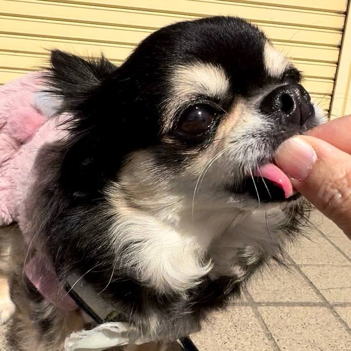 9f3fded4 072b 42ac a102 3a07123911be 1709794743382