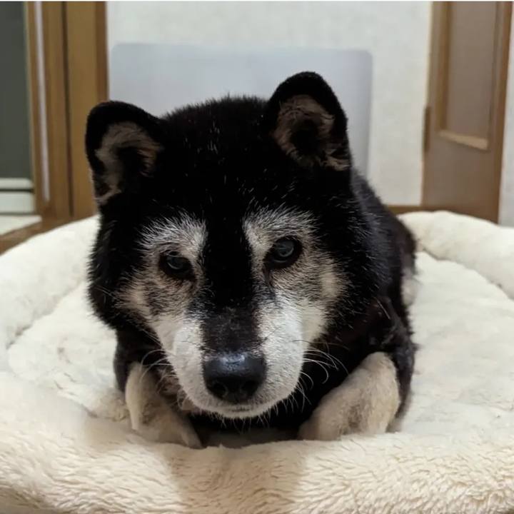 9f3fe98f 3756 4def 9910 cd52652f8584 1748585056258