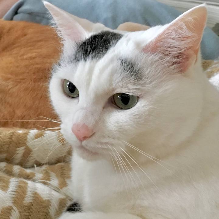 9f3ff1ca 2a17 4213 9dad 247ed2e3e875 1571398900862