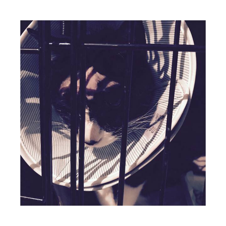 9f400f89 e7cd 4fea 8398 e3ef132acecf 1578650989235