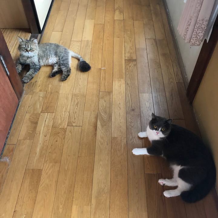 9f400fab a27d 47ef a0b6 16cf10420348 1562123671652