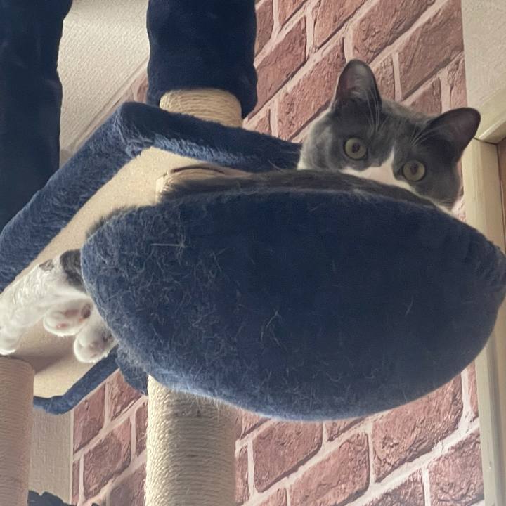 9f401909 2894 4163 ac75 71a108bf265d 1628643049873