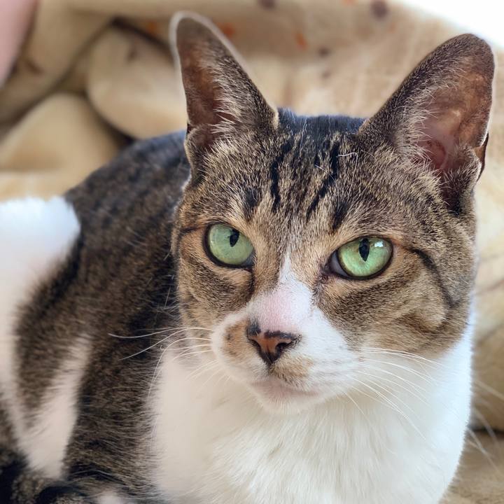 9f40376f f499 4b76 997d 0fd49a04ff27 1585358724482