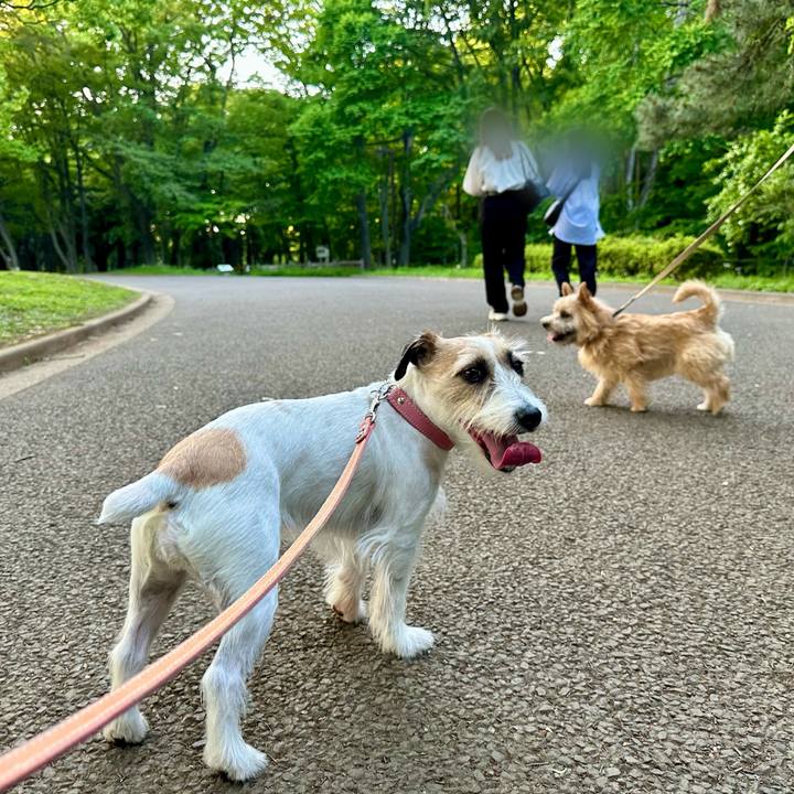 9f404480 d9e7 4fac 98d2 791e99a7830e 1714745272845