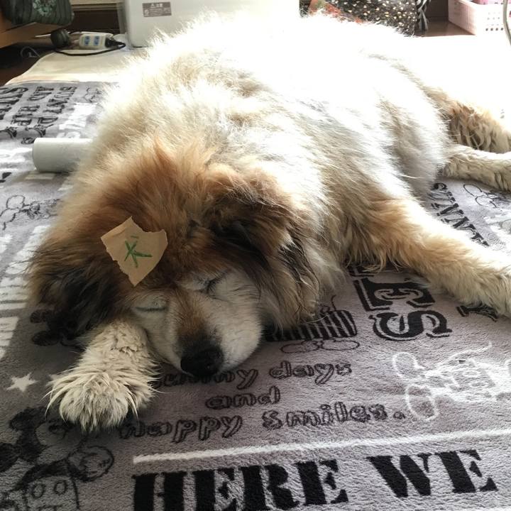 9f404cdf c686 4db6 a8d4 6c54aaa1b61a 1601778700635