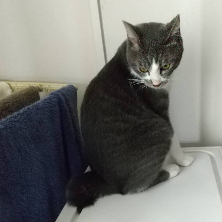 9f407a9e 9e0d 430e 99ed 38213cc36a40 1599348605308