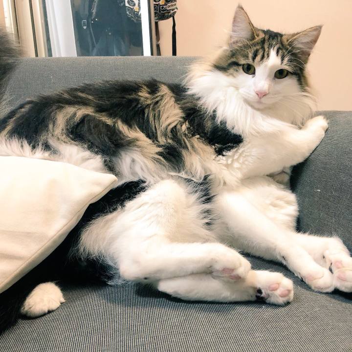 9f408904 acb2 4b9e 8ec1 aa393ca25d4c 1528010059165