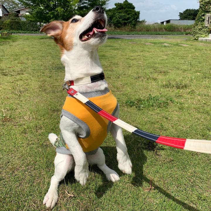 9f408ca3 1792 4d27 8381 e107fe7e1412 1563638654576