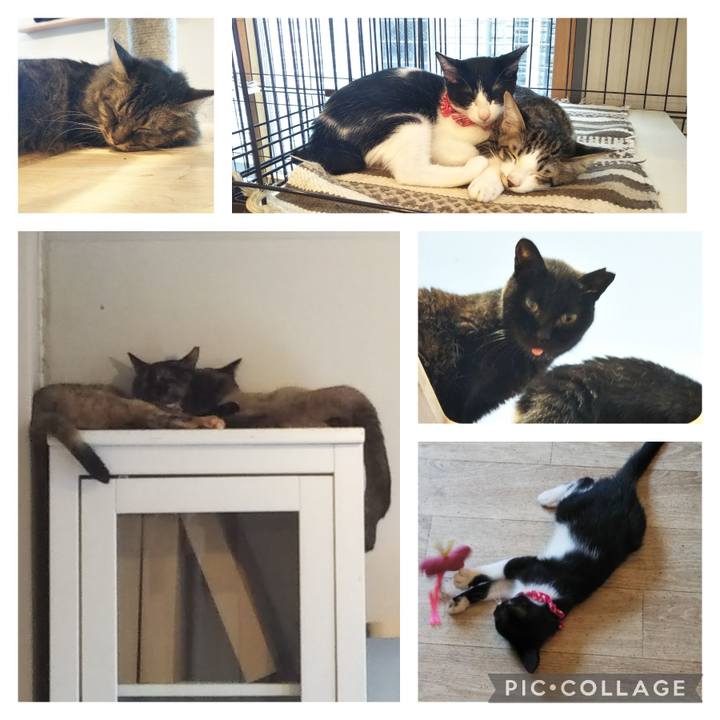 9f40ae0d 7cb0 438d 8c61 eb69c0e0353c 1722323888551