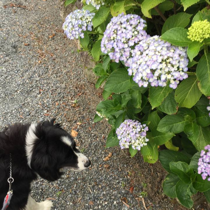 9f40e3f9 3780 43d5 a0c7 120a8066c5be 1559604375008