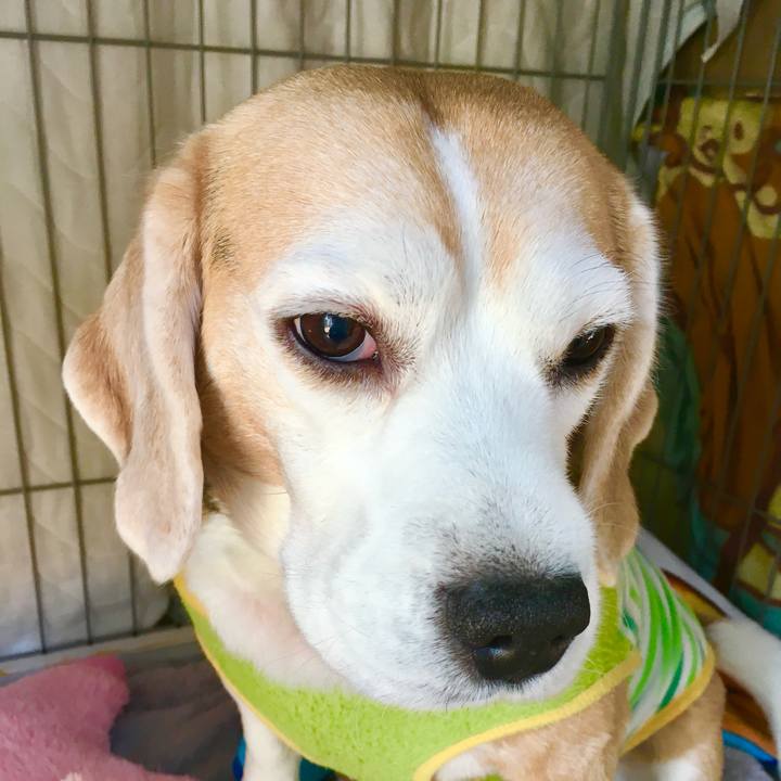 9f40f14e 08af 4d06 bfba 58e451a5f34c 1769934490181