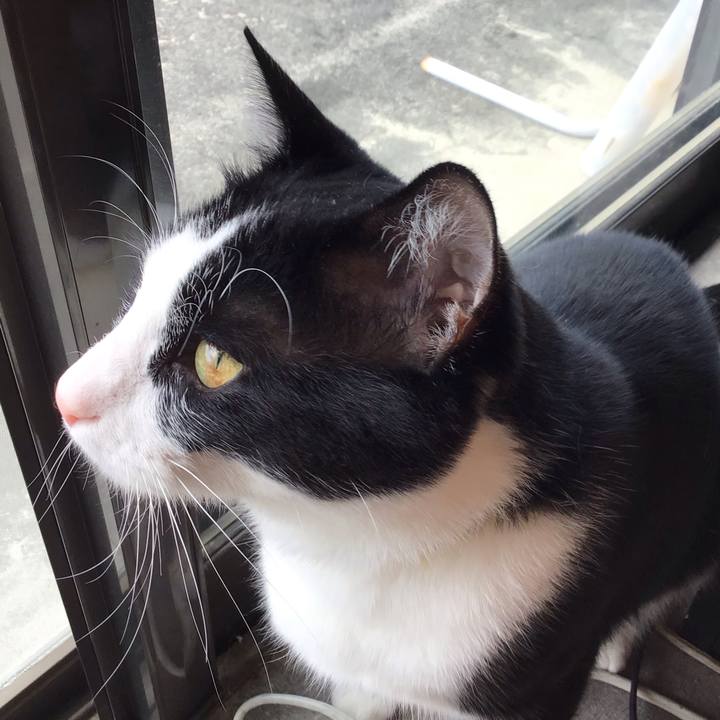 9f412b29 8223 46ce af38 044eb8a086e4 1651454620687