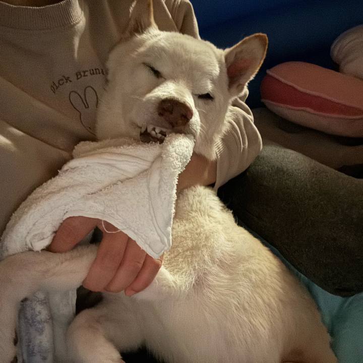 9f413ab6 54f7 445e 8a96 7cc823d69d88 1700747855742