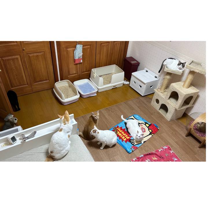 9f4153a3 5968 46a0 9e31 2d74d1780871 1670252519330